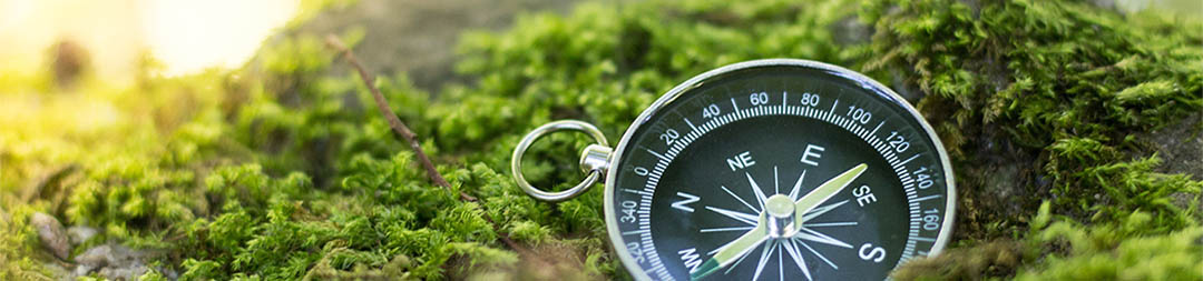 Kompass naturbestatter.com | Naturbestattungen